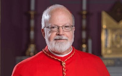 TutelaMinorum PRESIDENT Cardinal O’Malley, OPENS HArvard’s Interfaith SYmposium On Preventing Child Sexual Abuse